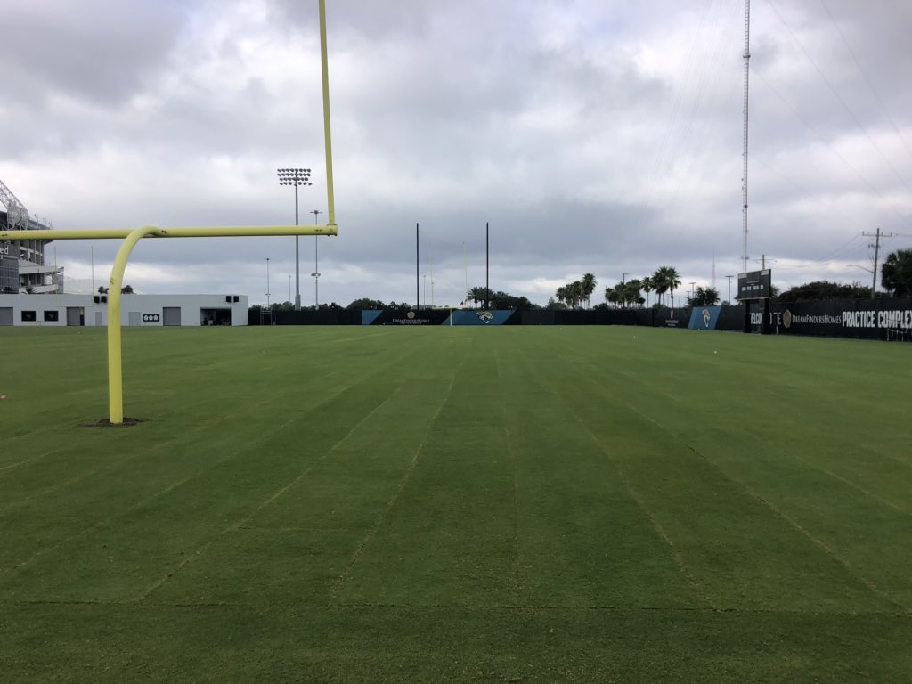 Another great job by Laserturf and @bentoakga renovating one of our PFs over the last 2 weeks. Took out organics, added sand and topped it off with what you see the last 2 nights. #ASMGlobal #419