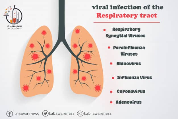 وعي مخبري - Lab Awareness tweet media