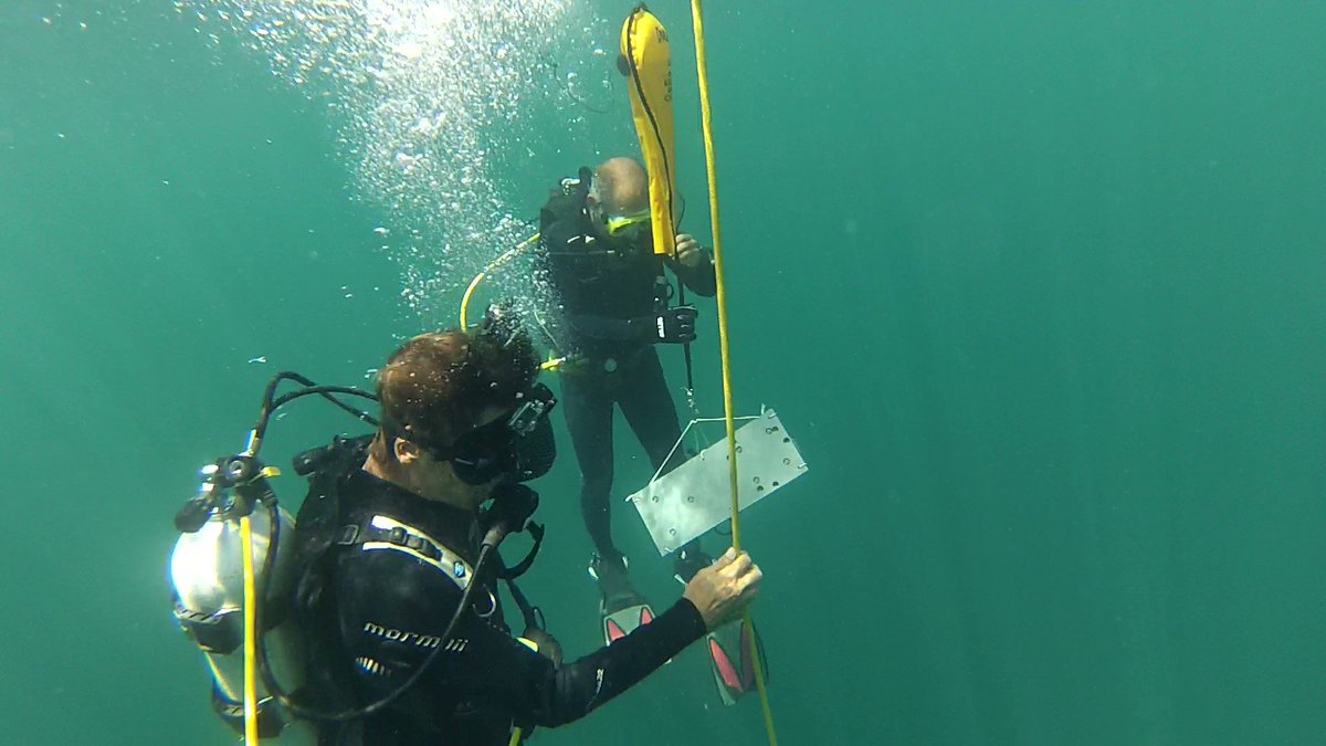 oceaam's tweet photo. Cientistas trabalhando na Baia de Todos os Santos. Dados de corrente, temperatura, salinidade, turbidez, etc. Departamento de Oceanografia da UFBA #CientistaTrabalhando #DiaNacionaldaCiencia #SIMBTS #simcosta #mergulhocientifico #Science #ufba #igeoufba https://t.co/zkz0pBu9s6