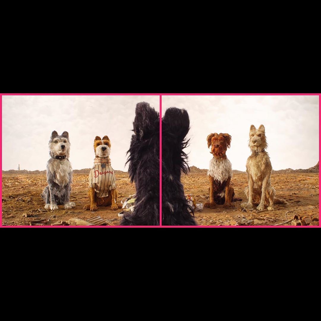 Dan Mace tweet media