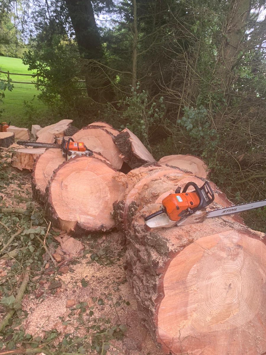 teigntrees's tweet photo. Fantastic job done by our tree teams, taking down a large Pine in Broadhempston last week. if you need any treework carrying out please call our office on 01626773499 to arrange a FREE no obligation quote.
#teigntrees #whatwedowednesday #arborists #treesurgeons #forst #nissan https://t.co/GdFV5d4CCI