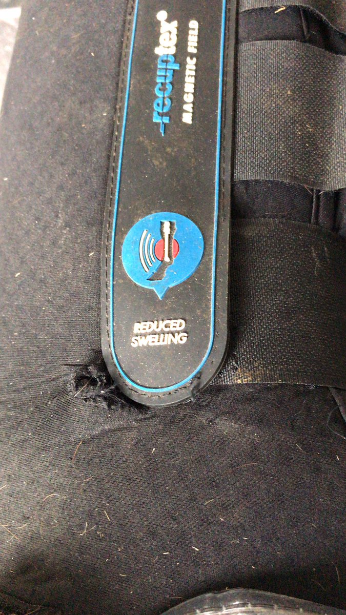 Marcelflos's tweet photo. @KHWboots 4 keer gedragen achterbenen beide stuk garantie 0 gekocht bij @Agradi service waardeloos €160€ 💨😡😡😡 https://t.co/EZKOZAVTBv