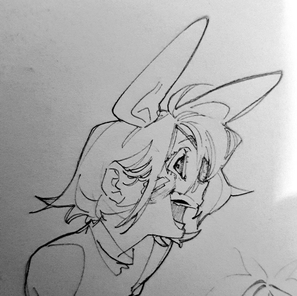 face 