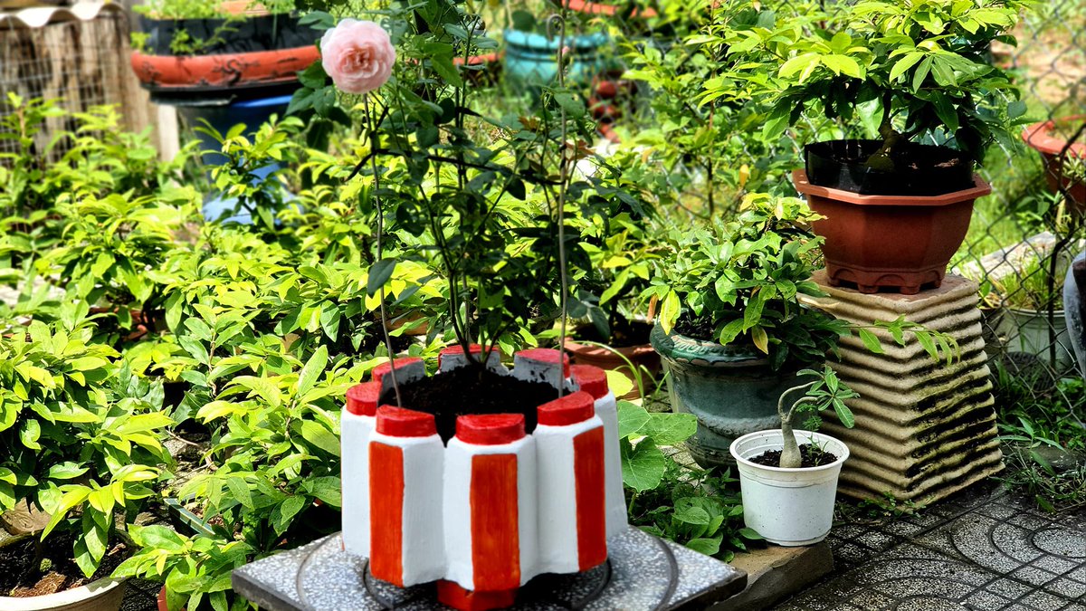 InLifeHacks's tweet photo. Creative craft ideas great from old food jars and cement for your home garden👍👏
See Video 👉 https://t.co/6mZf17v1Fl
#craftideas #cement https://t.co/4tsVH5Jeiw