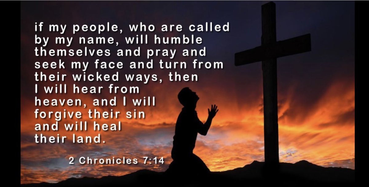 “Lord right now our land is sick and we need healing. We need healing physically, emotionally, spiritually, racially, and economically. Your word says if we pray you will heal our land. But first WE have to repent and turn back to you. Lord I pray that will happen. We need you!”