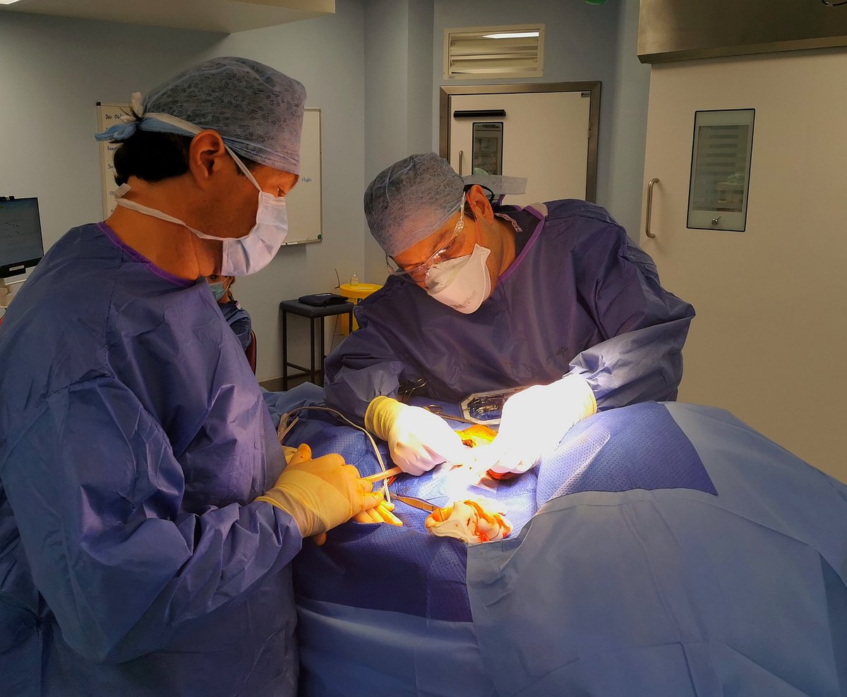BrainStimulatio's tweet photo. London's First IPG with local field potential perception from deep brain leads to monitor and guide #BrainStimulation 

A paradigm shift for #DBS !   

#DrAliRajabian https://t.co/zHs3YCLh6Y