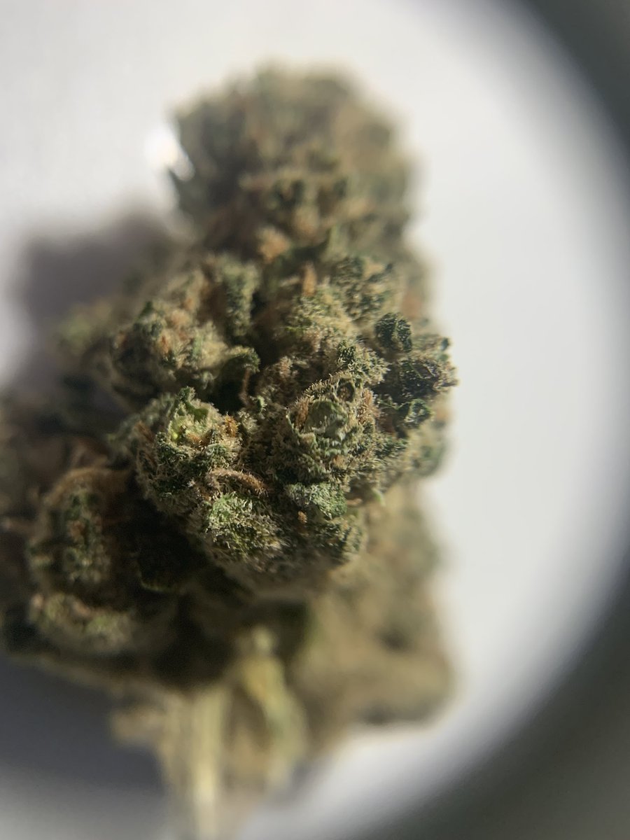 GreenLeafLife1's tweet photo. Some #PurpleDiesel from #TheCbdFlowerShop 🍁 Little over 1G as well, customer service as good as ever 👏🏽
Bless up 🙏🏽 https://t.co/8rgc77XH5o