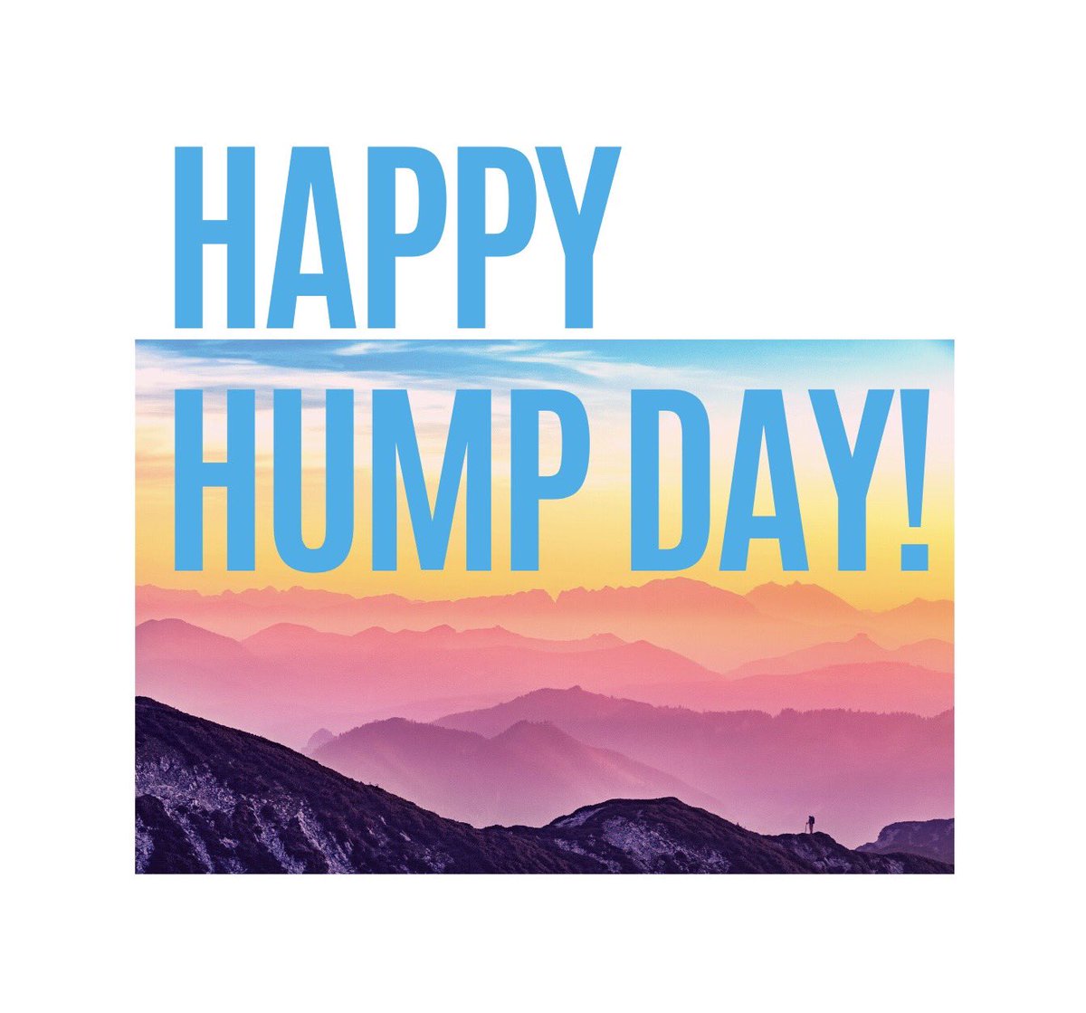 #SBS Crew tweet media