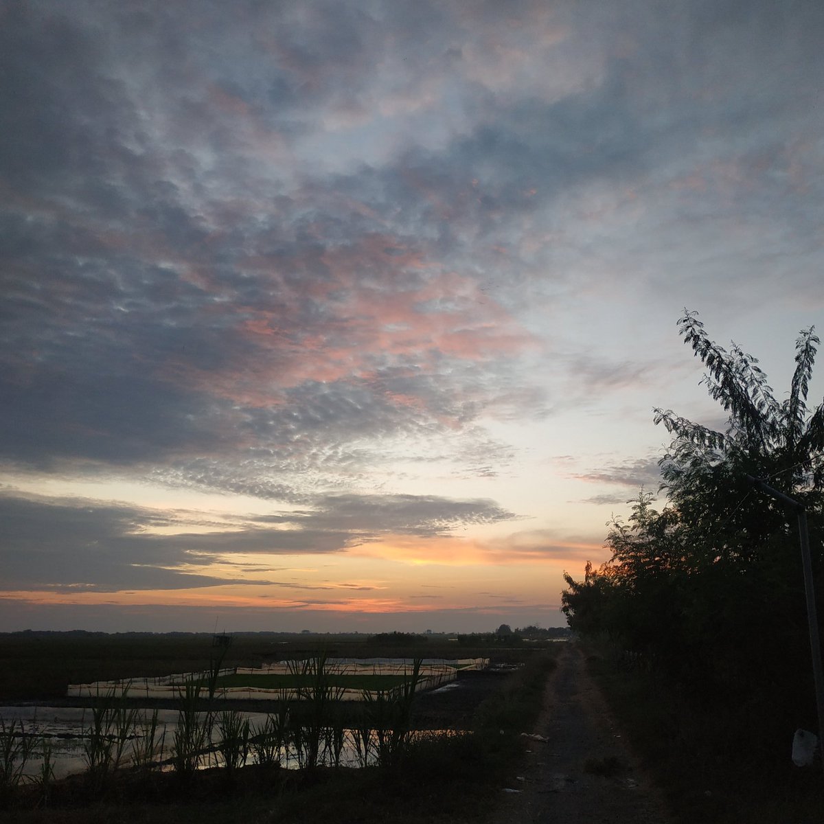 JAR15AR's tweet photo. Biarlah orang menganggap ini senja biarlah orang menenggak kopi, sedot asap bronkitis dan menunda magriban atau bahkan melewatkan nya, tapi ini gua yang foto pas fajar menyapa goblokk senja senja Matak kau tenggelam dalam lautan kopi senja 
.
#tweetreceh #Senja #fajar #kopigilux https://t.co/CNPsG0FDJa
