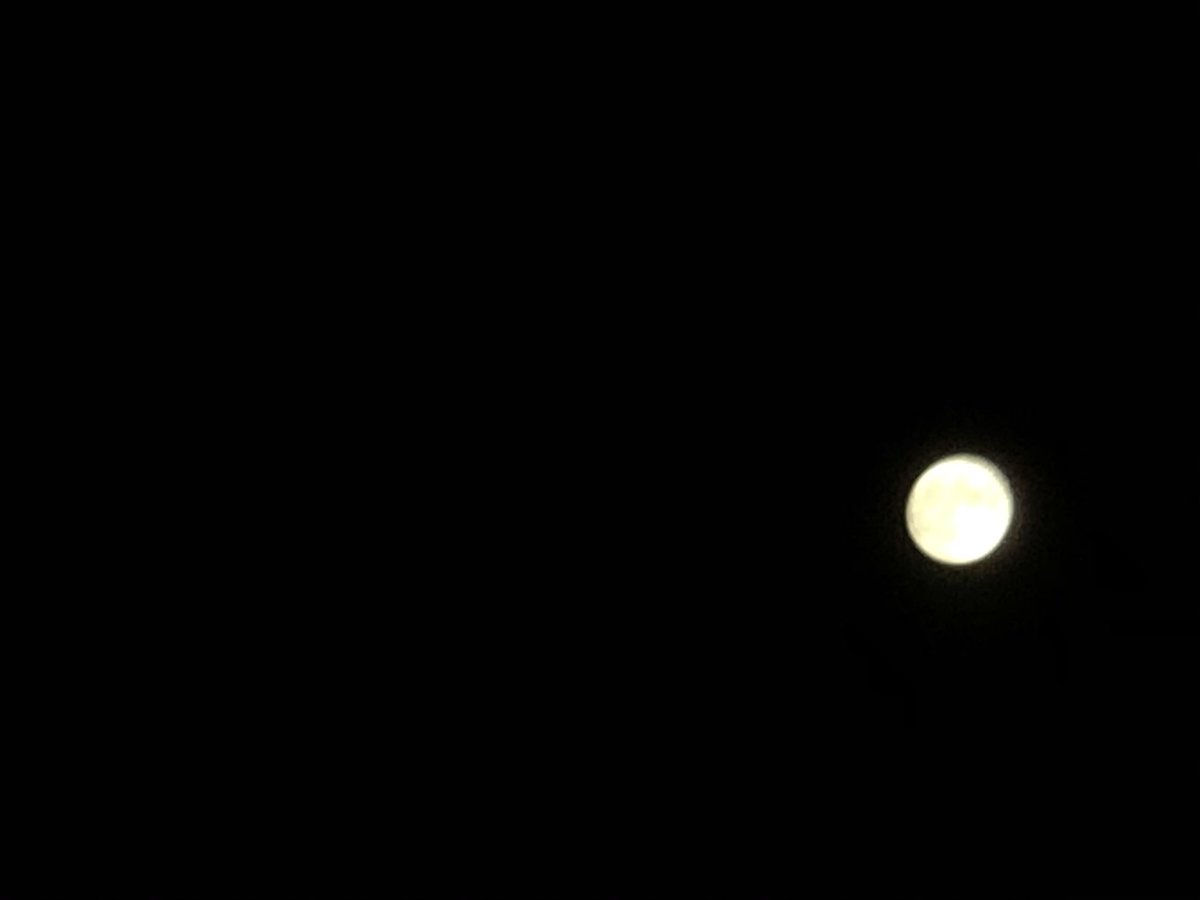 JakeChefNC's tweet photo. Here are the better photos from the #LunarEclipse from July 4-5, 2020 from South Gastonia, NC around 11:30 pm EDT. 

Unfortunately, the clouds were covering the moon at 12:29 am EDT at the peak. 

#July4th #Moon #JakeChefNC #Autism #Enby #HomeChef #ShotOniPhone https://t.co/927IP3hEpd
