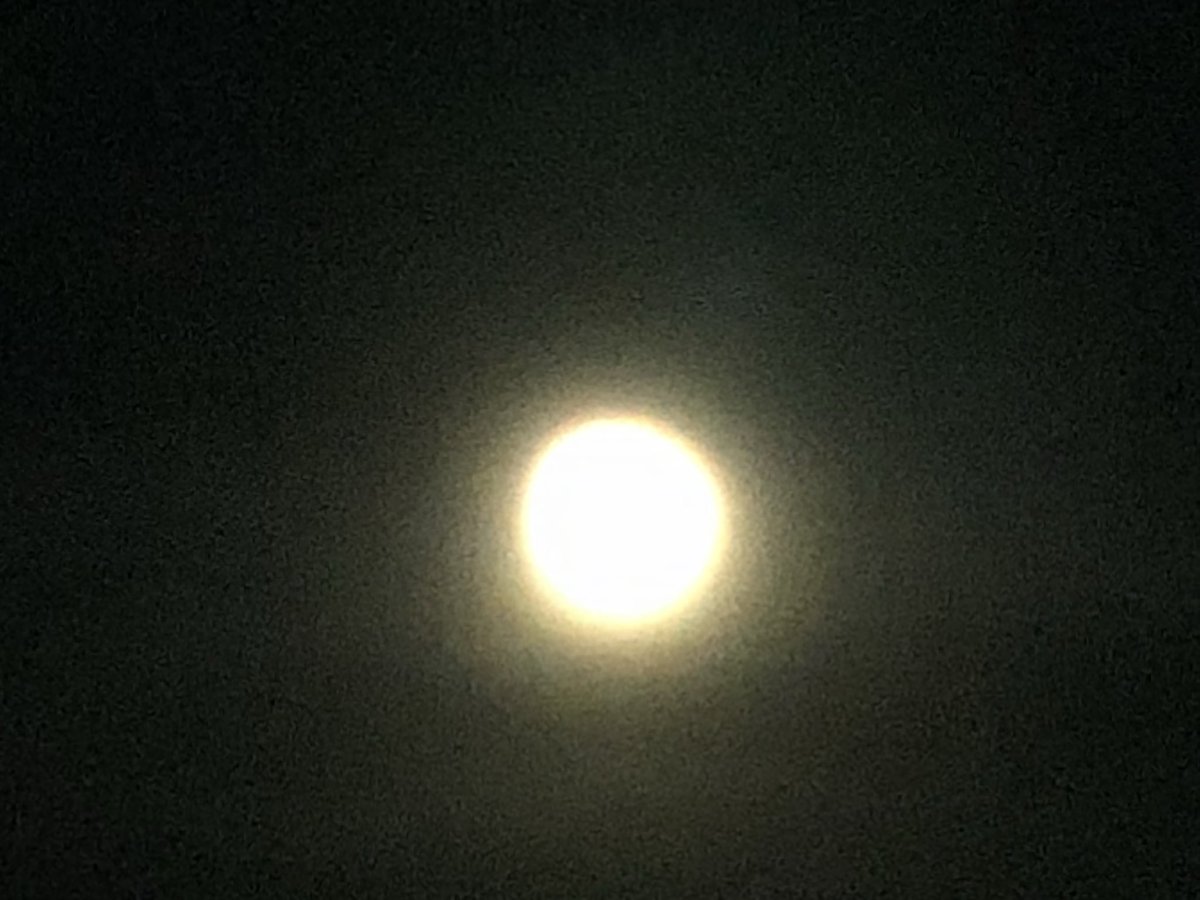 JakeChefNC's tweet photo. Here are the better photos from the #LunarEclipse from July 4-5, 2020 from South Gastonia, NC around 11:30 pm EDT. 

Unfortunately, the clouds were covering the moon at 12:29 am EDT at the peak. 

#July4th #Moon #JakeChefNC #Autism #Enby #HomeChef #ShotOniPhone https://t.co/927IP3hEpd