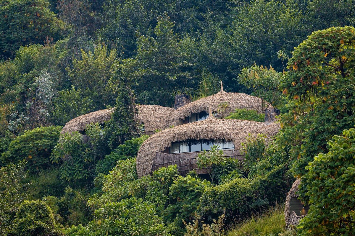 WeAreWilderness's tweet photo. News just in: We are thrilled to announce that #WildernessSafaris #Bisate Lodge has been listed in the 2020 Travel + Leisure World’s Best Awards. Congratulations #Bisate in #Rwanda 
Read more about the awards here:
 https://t.co/wT4SZ7Buqt 
https://t.co/cBqsLER96Z https://t.co/IScGS4prGS