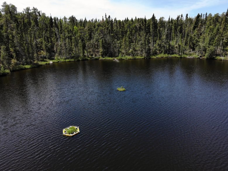 IISD_ELA's tweet photo. Our planet is changing.
That means we need to move towards more dynamic, lean, and adaptive models of monitoring our environment.
@geo_gunn and @madstan16 explore what #AdaptiveMonitoring looks like, and how we are making it a reality at @IISD_ELA...
https://t.co/rSOPOJpmOl https://t.co/kCsxUy8irI