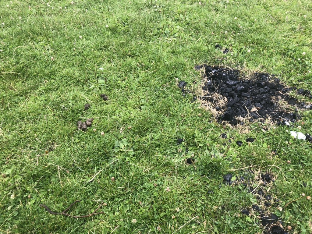 Seriously....a blatent lack of respect for other people who share these open spaces but also for the kids and adults who play week in week out on these pitches. Pick up your dog sh*t and clean up your mess <a href="/clwbrygbi/">Clwb Rygbi Cymry Caerdydd</a>