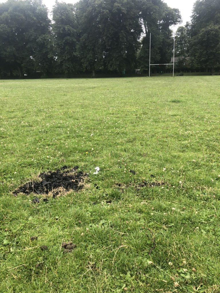Clwb Rygbi Adran Iau tweet media