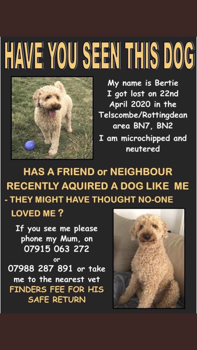 @RSPCA_Frontline Hi please can you retweet #FindBertie NHS Doctor is desperately searching for his dog Bertie & his been missing 11 weeks now. His family want him home. @bertie_is Thank you 🙏 #DogLost #ScanMe #FernsLaw