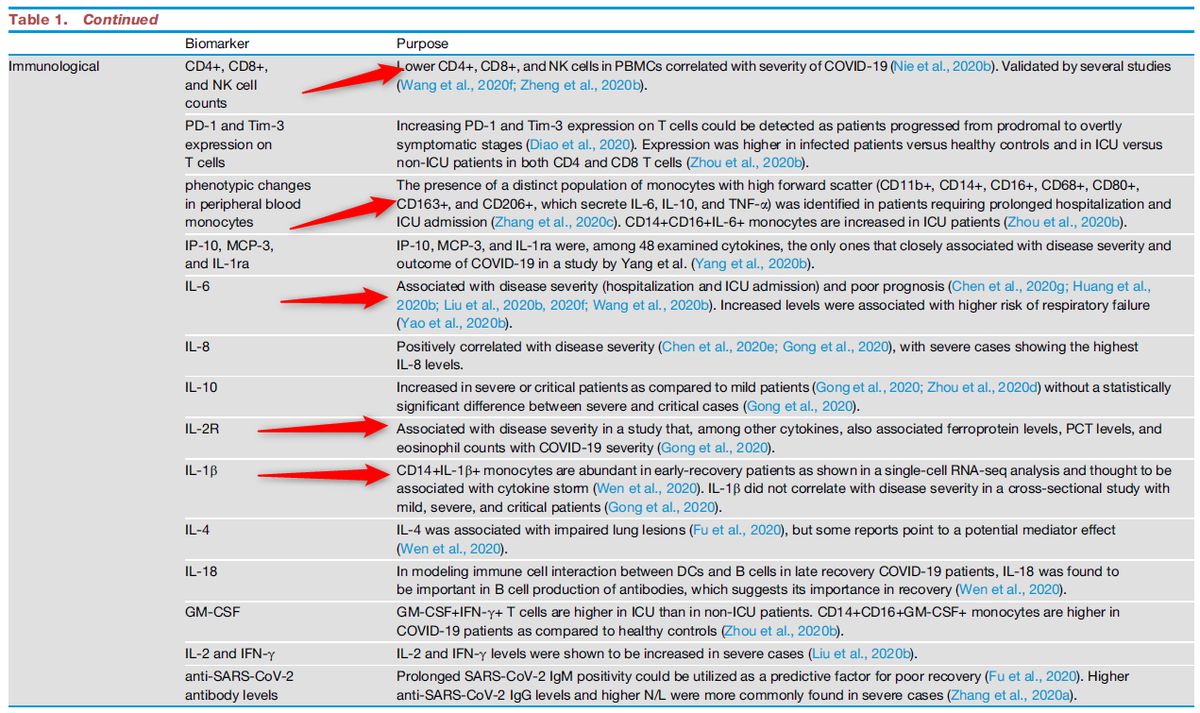 #COVID19 의 면역학: ACE2를 매개로 세포 transfection 후 IFN signaling 저하, IL-6, TNF의 , IL-6, TNF에 의한 NK 세포 기능 변화, 지속 감염시 CD8, CD4 세포 표현형 변화 및 감소 및 Treg 감소 등