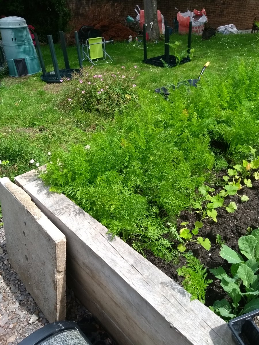 Andywales55uk's tweet photo. @AndyNewport55uk more pics from today in the garden https://t.co/uJ607fhzct