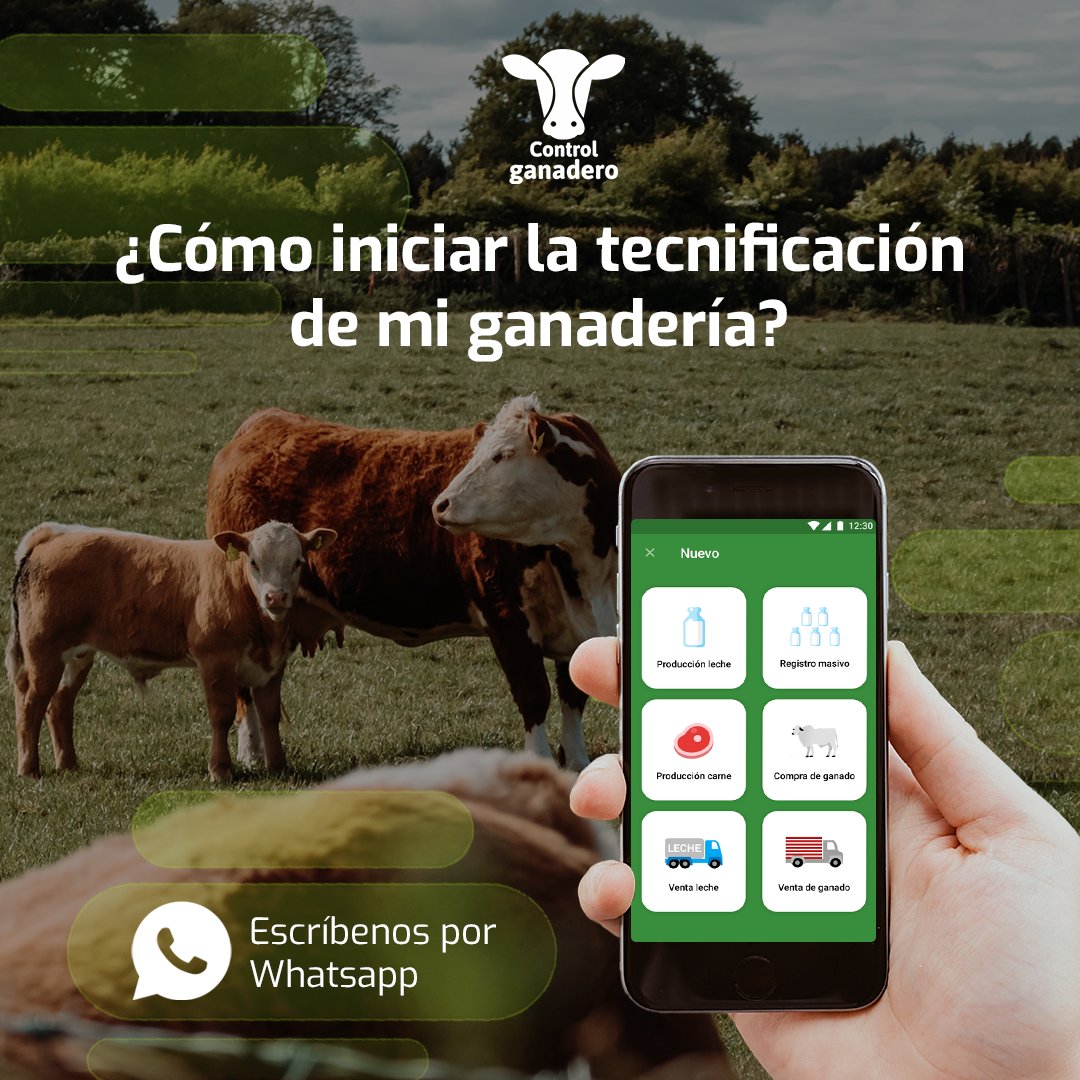 ControlGanadero's tweet photo. ¡Escríbenos que nuestro equipo experto en tecnificación ganadera está para ayudarte completamente gratis!

Whatsapp: +57 310 260 4652

No olvides preguntar por nuestra promoción del 15% en la membresía Control Ganadero PRO.

#SoyGanaderoTecnificado  #Ganaderia https://t.co/wmdp2VA3LK