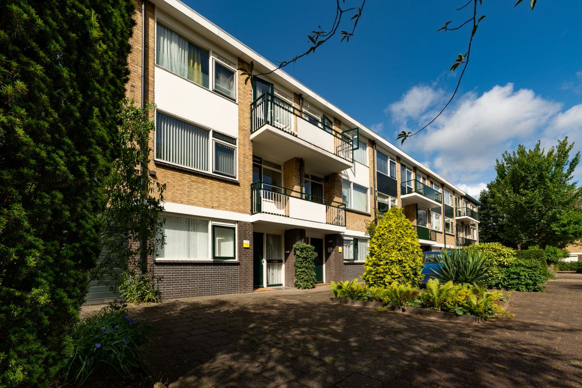 In Huizen op de Vloedwal is een woonplek beschikbaar voor volwassenen met een visuele en licht verstandelijke beperking. Het karakter van de woonvorm is zelfstandig en geschikt voor de redelijk zelfstandige cliënt. Meer weten? visio.org/vloedwal of bel/app 06 50 65 07 00