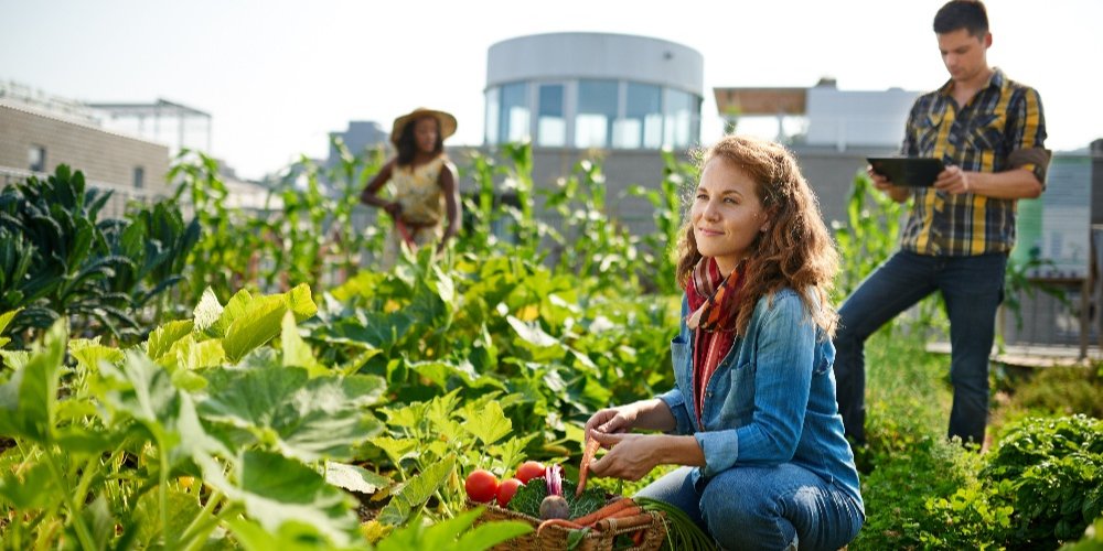 When your business finds the right #nonprofit partner, it just clicks. 1% is here to help you find your match — learn more in our new guide! #CorporateGiving

hubs.ly/H0r-H6J0