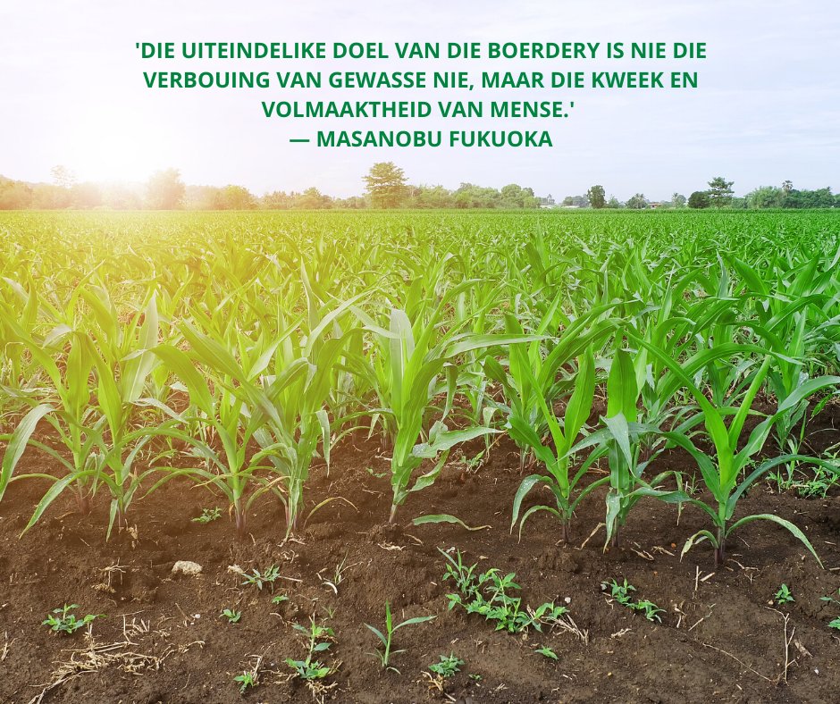 Grainvest Group tweet media