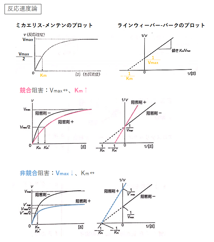 非競合阻害グラフ