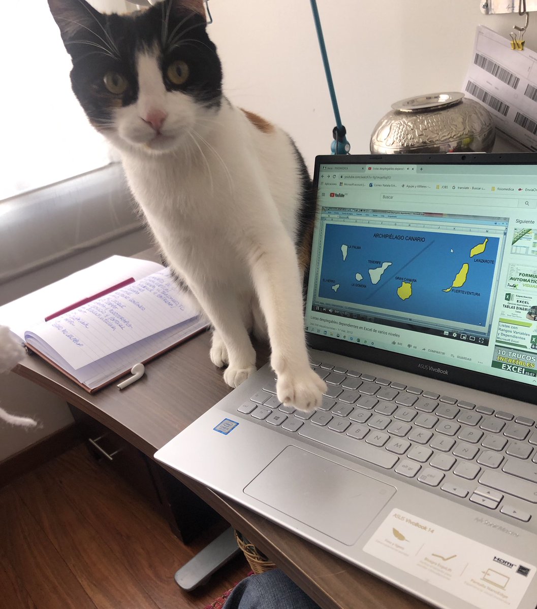 Nato Eche tweet media