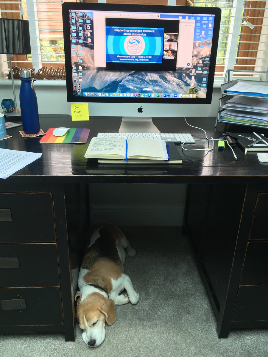 JEA68's tweet photo. Working from home - or let sleeping dogs lie...?#AMOSSHE2020 https://t.co/epJrcspTBe