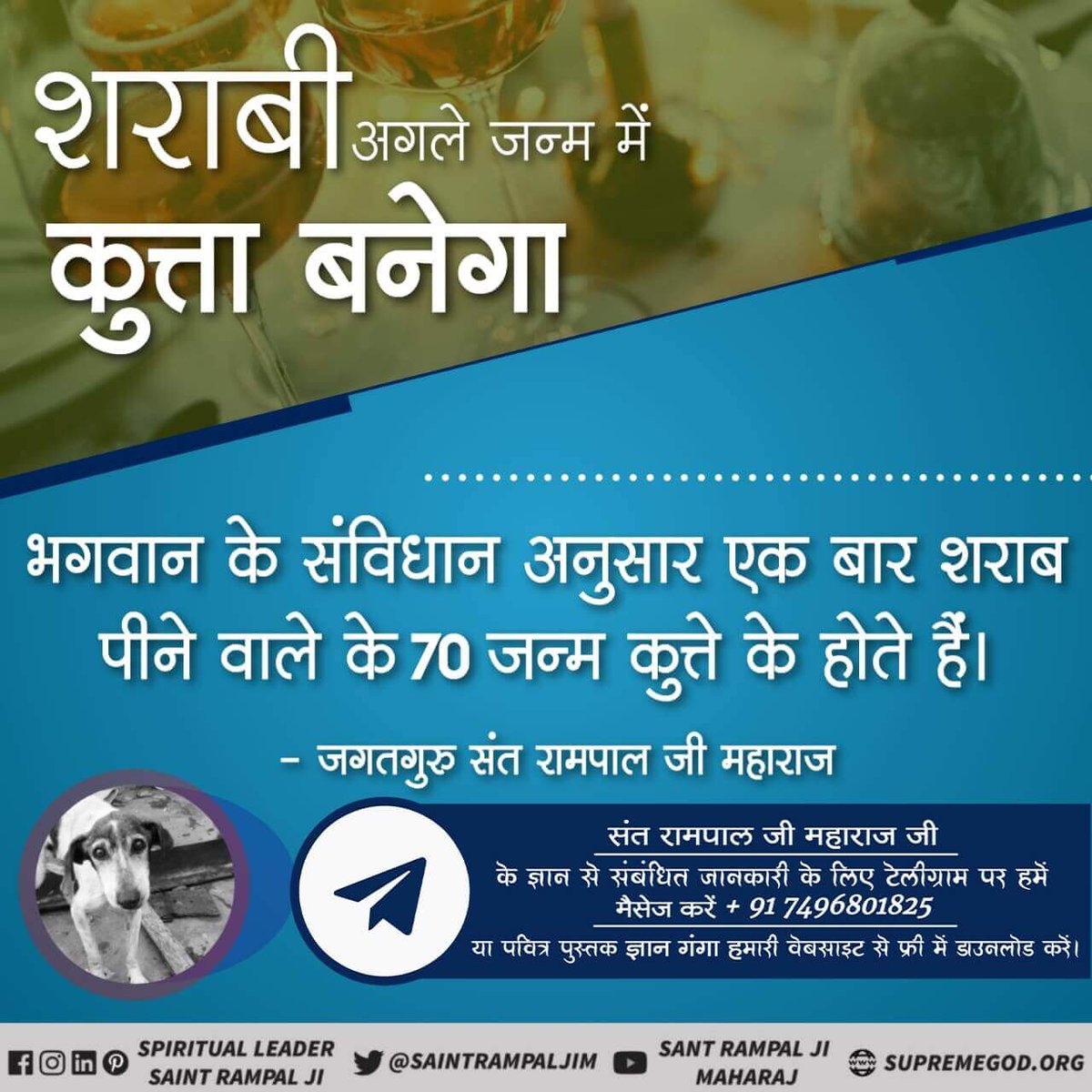Mehatabdass4's tweet photo. #Allah_Is_Kabir जो शराब पीता है वह वेक्ती 70 जन्म कुते के होते हैं https://t.co/hMEwpIfCsd