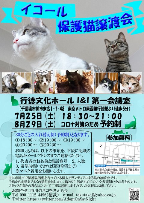 家猫修行中のtwitterイラスト検索結果