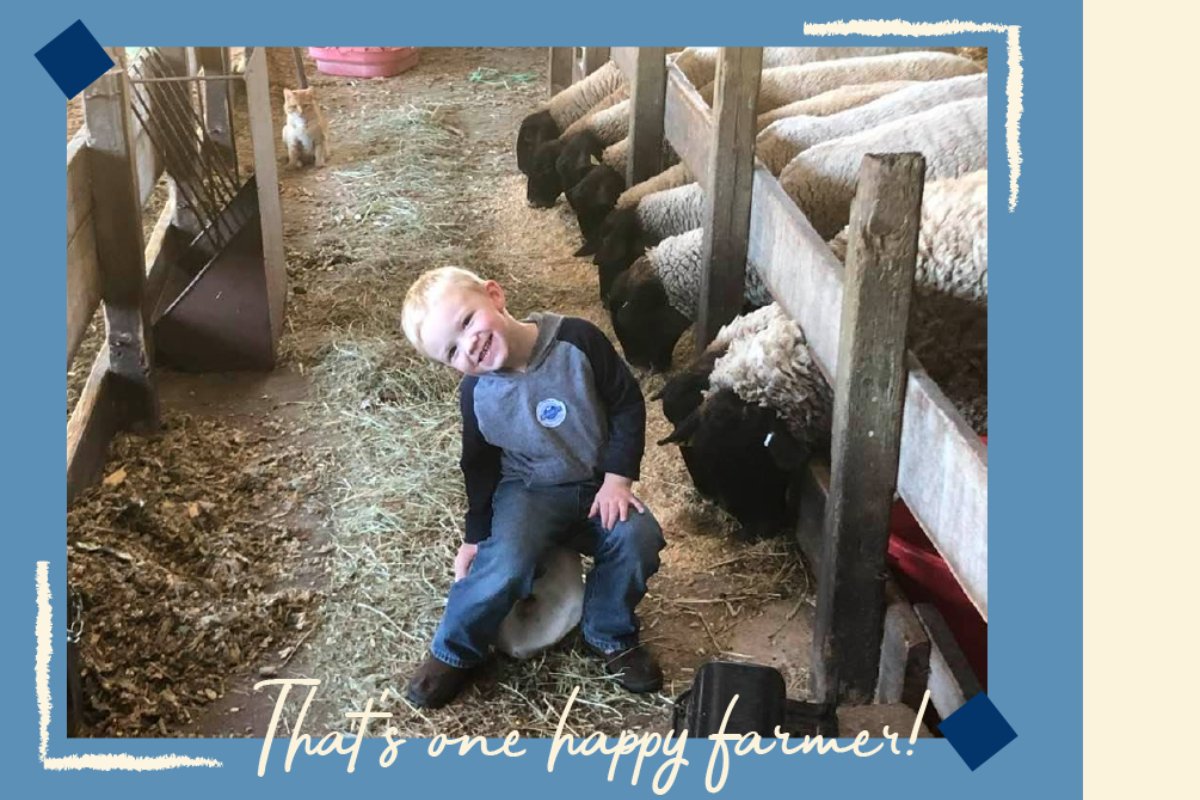 Did you know that Burnett Dairy Cooperative provides farmers with a full range of agricultural services needed for farm management? We provide agronomy services, fuels, grain, feed, and animal health and nutrition services!