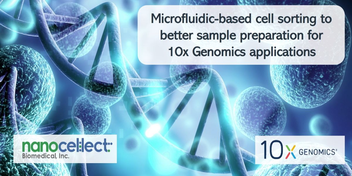 Labroots's tweet photo. Leverage single cell sequencing for multiomic immune profiling. Optimize 
sample preparation and cell sorting for generating quality data.
https://t.co/qRjg0tUn1c 
#cellsorting #nanocellect #10xGenomics #singlecellgenomics #sampleprep #rarecells https://t.co/q79u9a5GmU