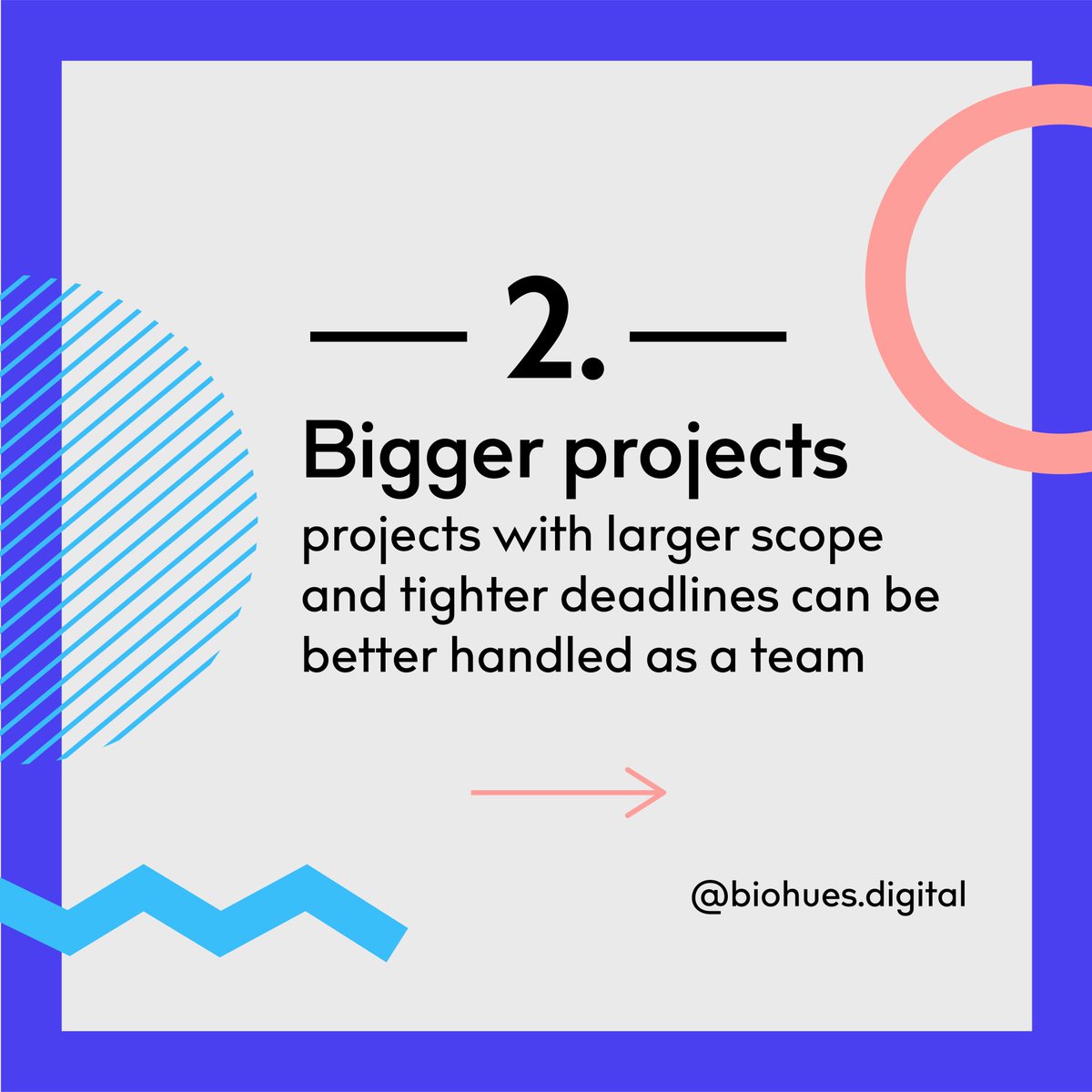 BIOHUES DIGITAL tweet media