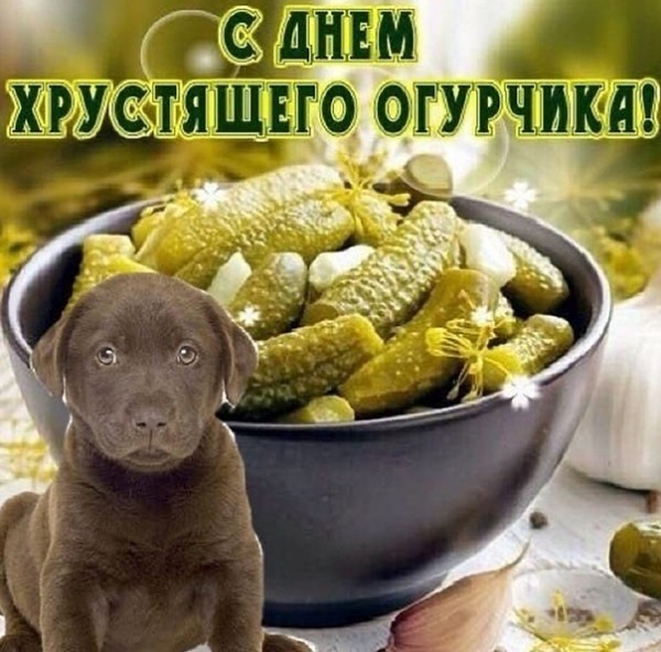 NODEPRESSION5's tweet photo. @aOeFYW0tJ6WrTXk МММ чеВапЧиЧи)0)) https://t.co/mECFtjP75J