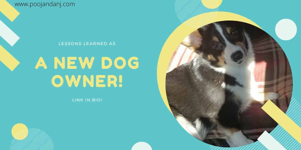 poojandanj's tweet photo. Thinking of bringing home a furry friend? Read about Pooj's first month as a dog mom and what she's learned so far: https://t.co/rAKsSl3gH6 https://t.co/JrCmr3hJce