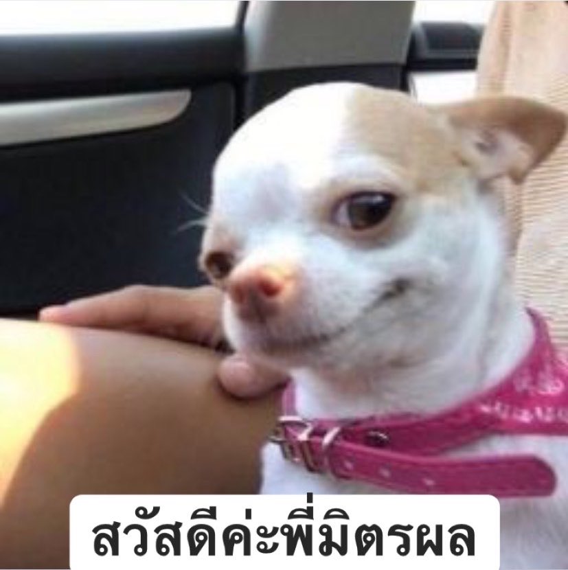 𝗔𝗥𝗔𝗠𝗢 𝗔𝗥𝗢𝗠𝗔 tweet media