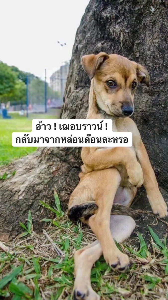 𝗔𝗥𝗔𝗠𝗢 𝗔𝗥𝗢𝗠𝗔 tweet media