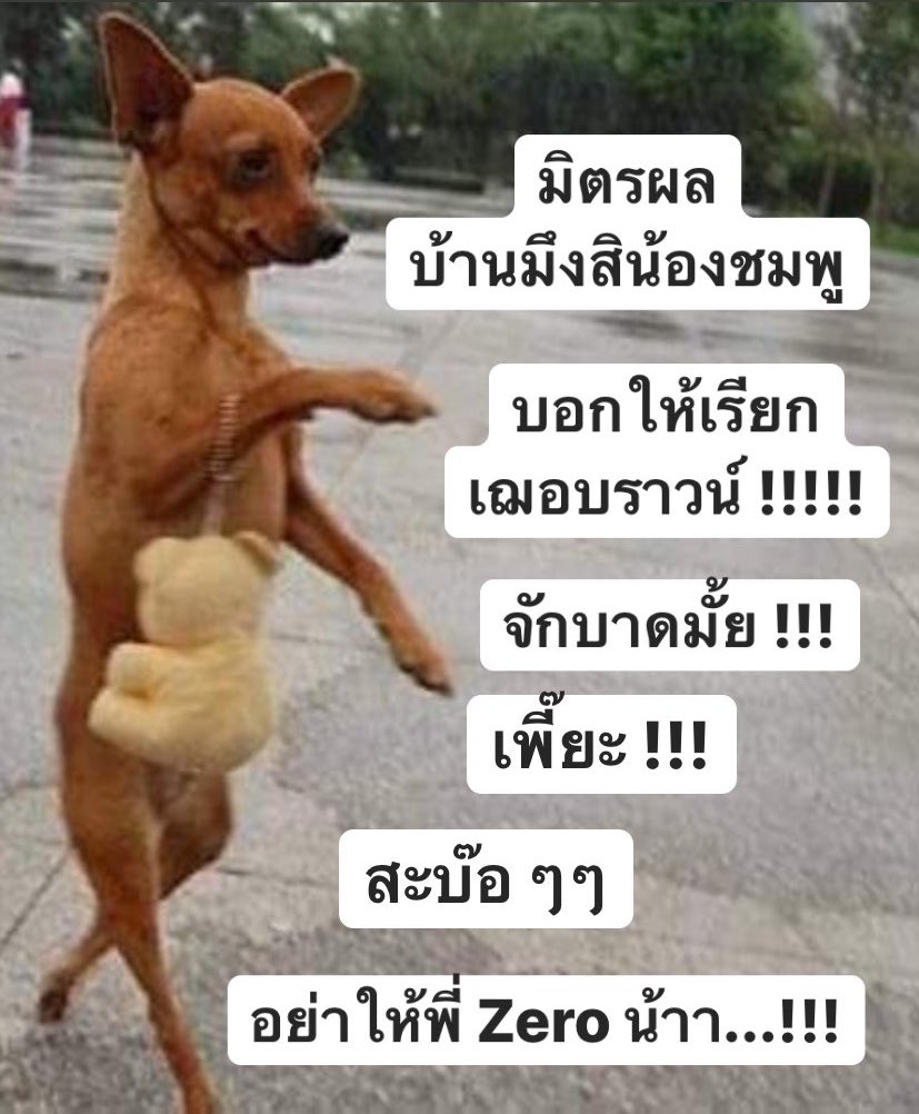 𝗔𝗥𝗔𝗠𝗢 𝗔𝗥𝗢𝗠𝗔 tweet media