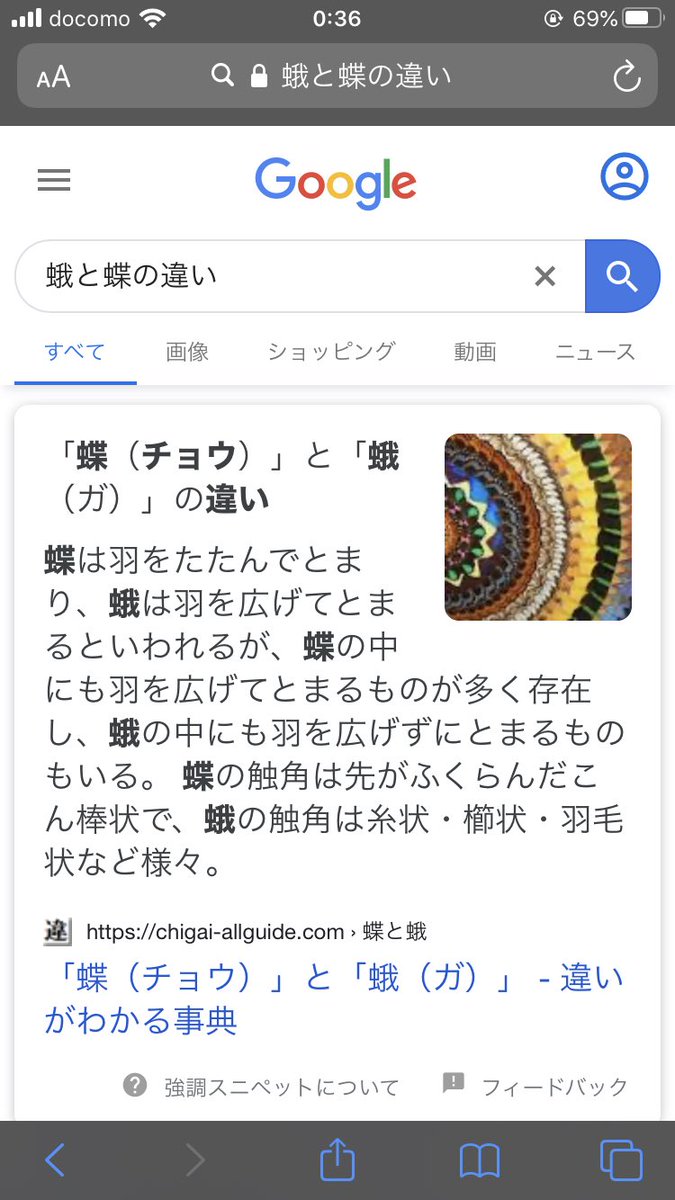 yuki_y6's tweet photo. @yuumi_y6 @pikachu_y6 触角で判断すればいいらしい！！ https://t.co/EsFxxD4f7h