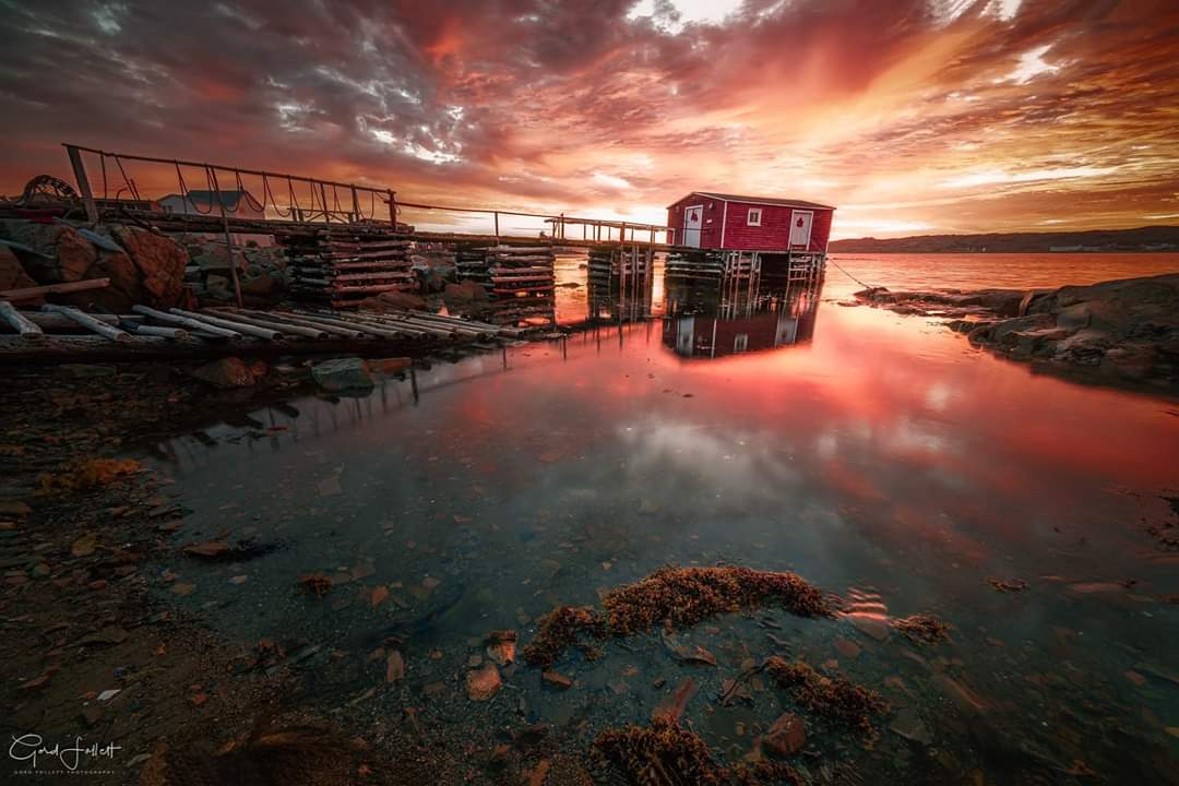 Gord Follett Photography tweet media
