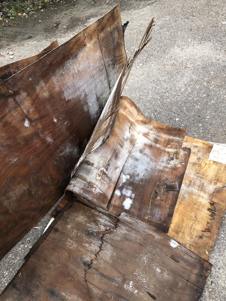 CollinsKaylea's tweet photo. @ThorMotorCoach yes you “repaired” it under warranty by resealing but once water and wood have come in contact there are going to be further issues down the road and this is proof https://t.co/HFJ1Aj9oMB