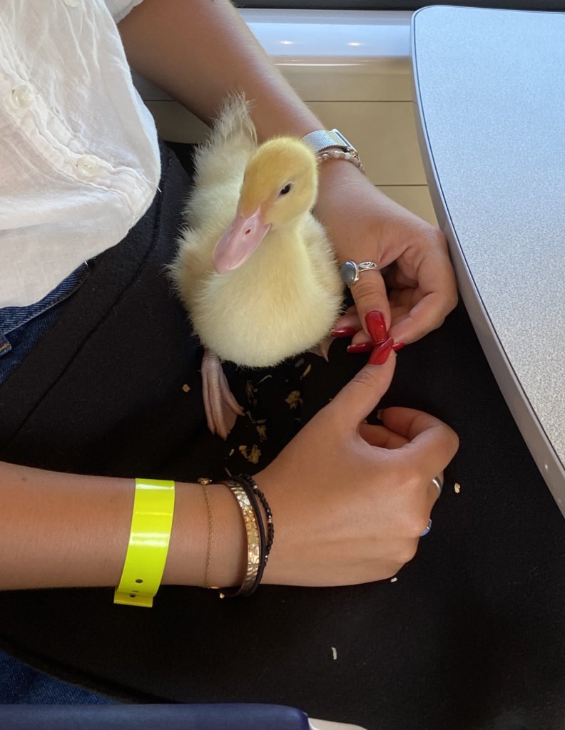 Prêtresse Clougue. tweet media