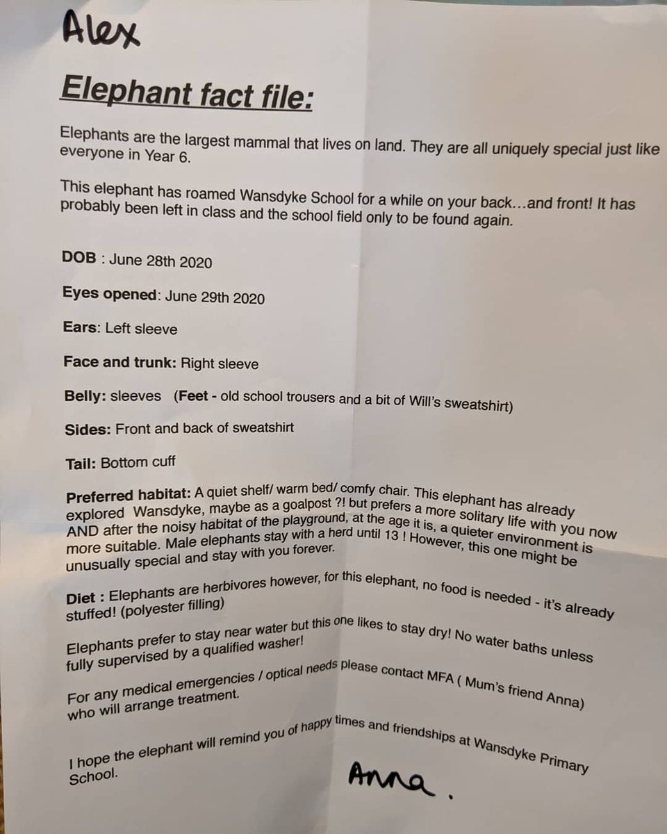 wansdykedevizes's tweet image. One of our parents has kindly had elephants made out of old Wansdyke School jumpers as mementos for our Year 6 class - aren't they wonderful?! 🐘