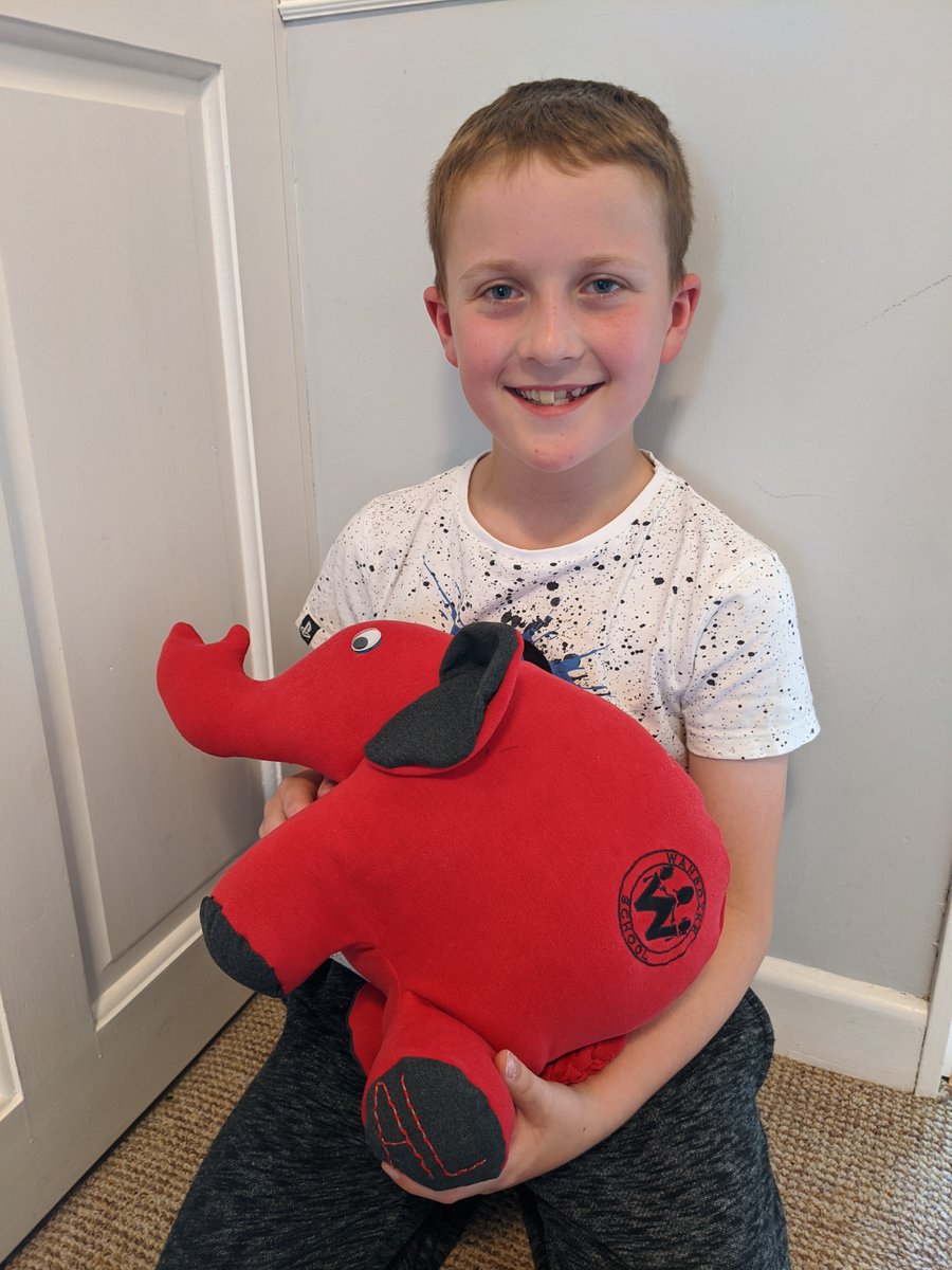 wansdykedevizes's tweet image. One of our parents has kindly had elephants made out of old Wansdyke School jumpers as mementos for our Year 6 class - aren't they wonderful?! 🐘