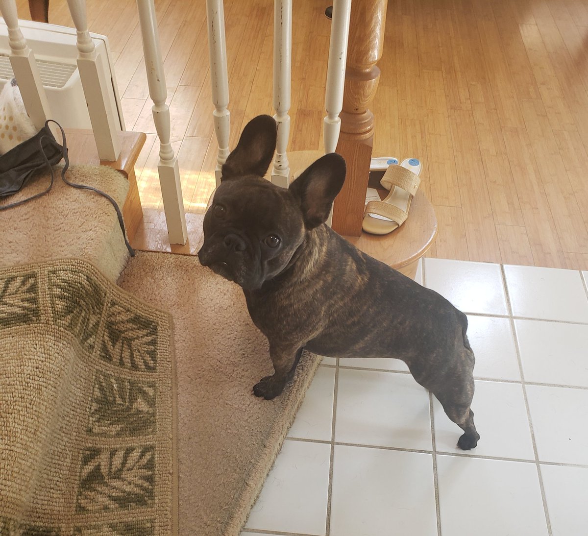 Birthday Girl, Olive. 2yrs old