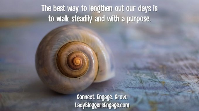 BloggersLady's tweet image. Join our blogging community - b.link/bloggers60