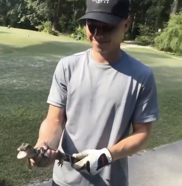 Monge Han ✨ tweet media