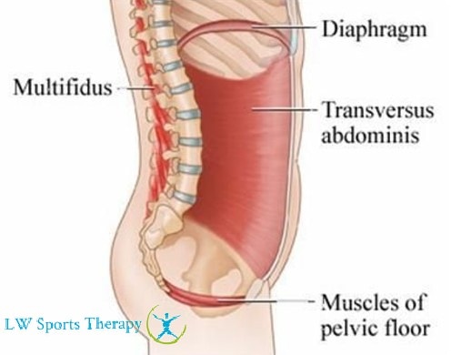 SportsTherapyLW's tweet image. Pilates powerhouse! 

The centre of the body &amp;amp; if strengthened well it offers a solid foundation for any movement; giving energy, strength, stability &amp;amp; control

#sportstherapy #rehab #corebuilding #pilates #strengthbuilding #stretching #powerhouse #jospehpilates