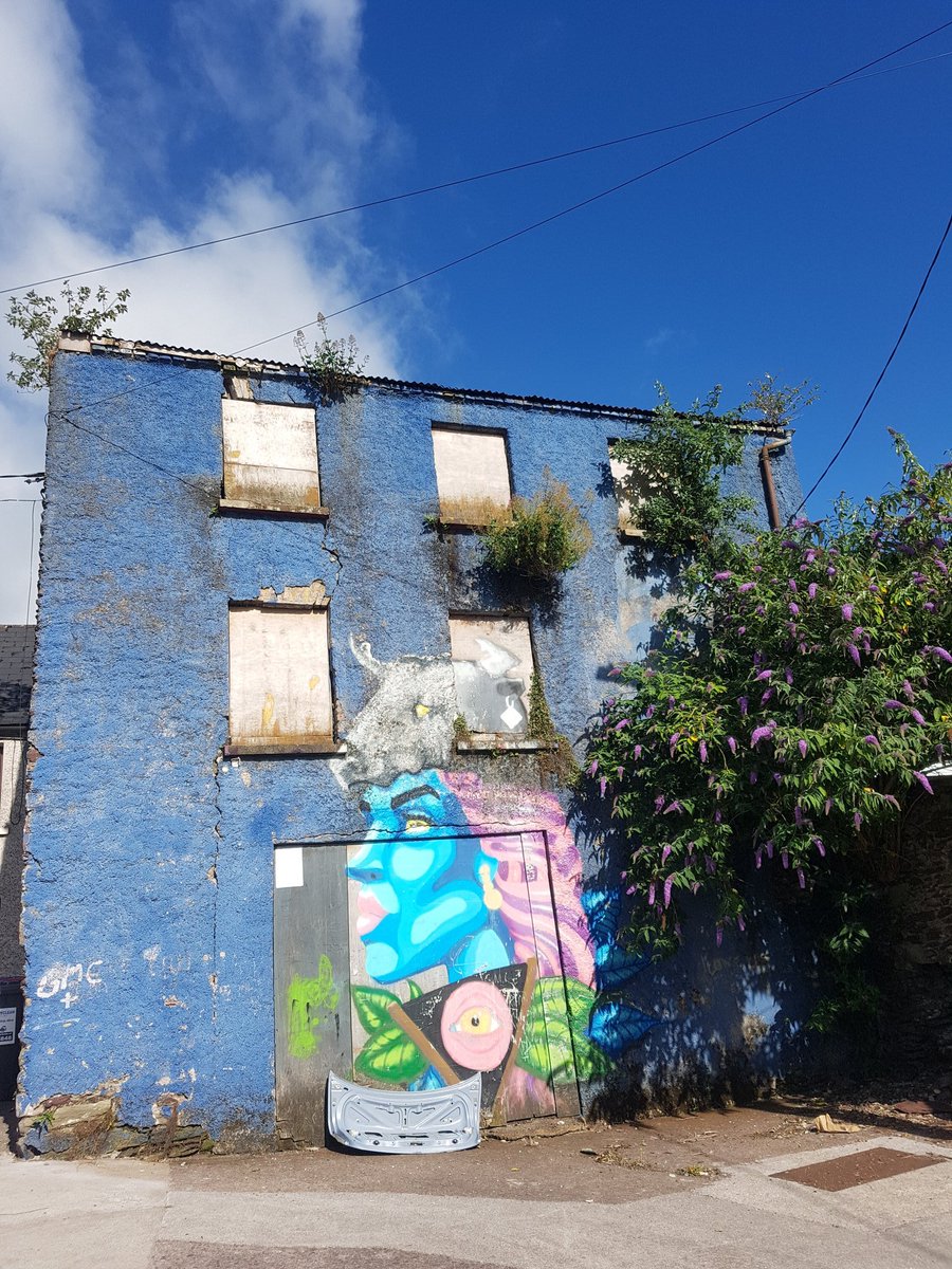 another abandoned building, someone's home, lots of character, brightened by the graffiti & greenery, sad to see it empty  #socialcrime  #inequality  #homeless  #Cork  #heritage  @corkcitycouncil